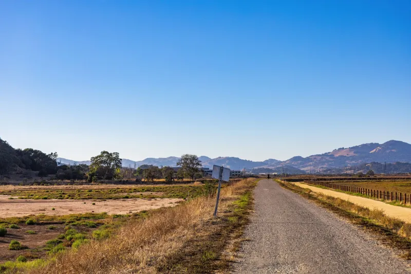 Mapped Out of Medicine: How America's Clinical Trial System Abandons Rural Communities